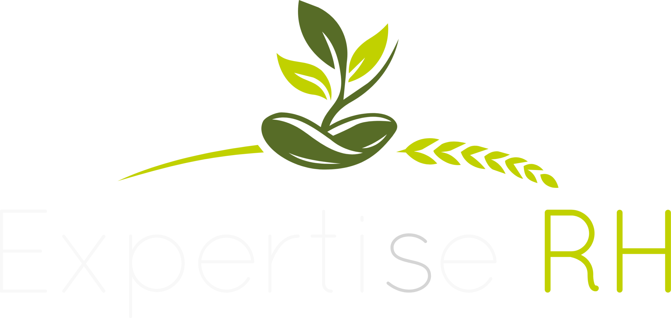Expertise RH